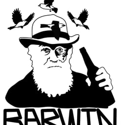 Barwin